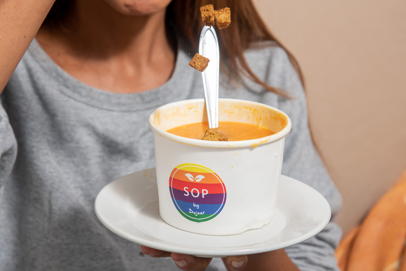 Pacote Sopas 5 und + Crouton Low carb gratis